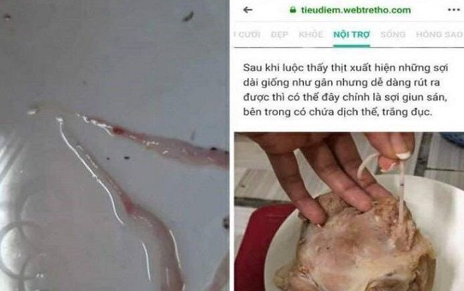 Tung tin bịa đặt heo nhiễm sán trên facebook, một phụ nữ bị phạt 10 triệu đồng