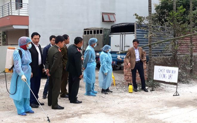 Hà Nội phát hiện thêm ổ dịch tả lợn châu Phi tại huyện Thường Tín