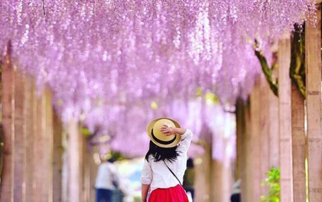 Những bức ảnh đong đầy tình yêu của người bố Nhật Bản chụp con gái nhỏ gây sốt cộng đồng mạng