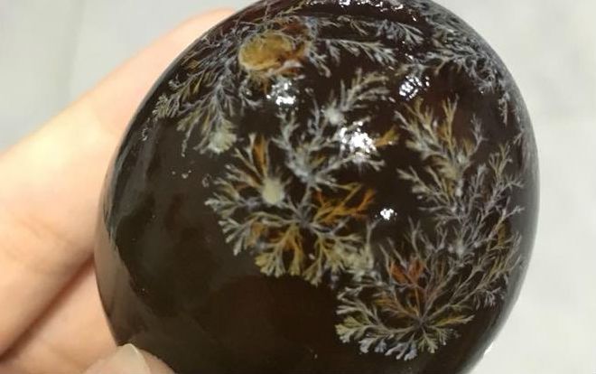 Lỡ ăn quả trứng bắc thảo nổi những vệt hoa văn hình cây, cô gái lo lắng đi khám tổng quát và kết quả sau đó