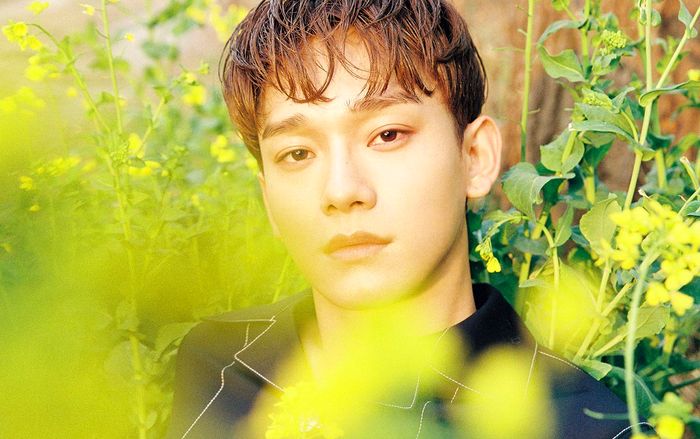 EXO-L Việt Nam mừng phát khóc khi phát hiện điều này trong MV 'Beautiful Goodbye' của Chen