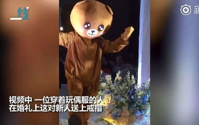 Xuất hiện 'gấu nâu' nhảy múa trong đám cưới, khi biết danh tính người mặc trang phục ai cũng xúc động