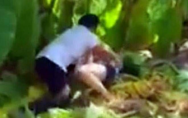 Trên đường đi trộm chó, 4 thanh niên khống chế 2 thiếu nữ vào vườn keo cưỡng hiếp