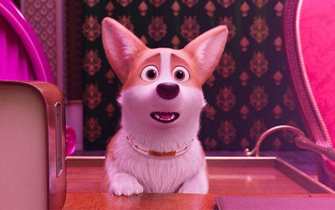 'The Queen’s Corgi': Hé lộ cuộc sống quý tộc của đàn 'boss' Corgi mông to