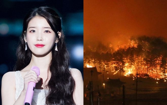 IU bị cư dân mạng chỉ trích vì… quyên góp 2 tỷ đồng cứu trợ nạn nhân vụ cháy Gangwon