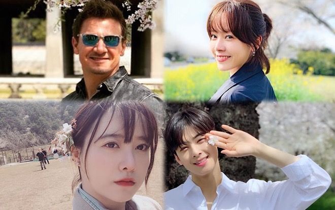 Ronin của 'Avengers: Endgame' cùng Goo Hye Sun, Cha Eun Woo đăng ảnh mê mẩn hoa anh đào ở Hàn Quốc