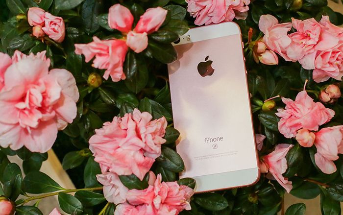 Một mẫu iPhone vừa được Apple tiếp tục bán ra với giá không thể rẻ hơn, cập nhật ngay kẻo lỡ