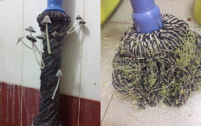 Choáng với 'cao thủ ở bẩn' trong sinh viên: Để chổi lau nhà 'nở hoa', bát đũa mốc xanh và còn hơn thế nữa