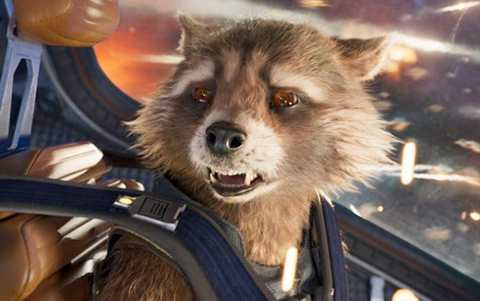 Rocket Raccoon sẽ nhận được đợt tăng sức mạnh đáng kể từ Marvel