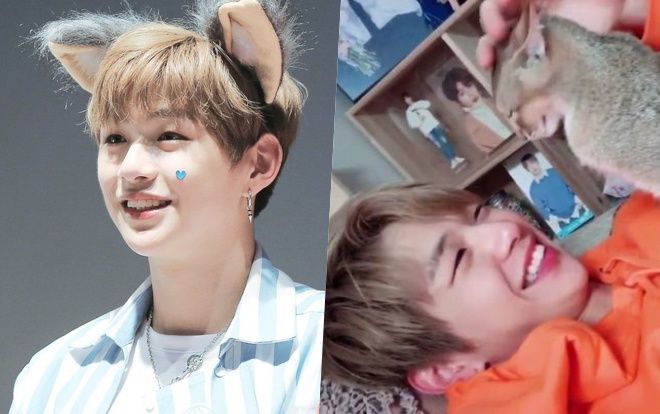 Đánh mất sự quyến rũ và mạnh mẽ trên sân khấu, Kang Daniel 'hóa thành mèo con' với những sở thích đáng yêu vô cùng!