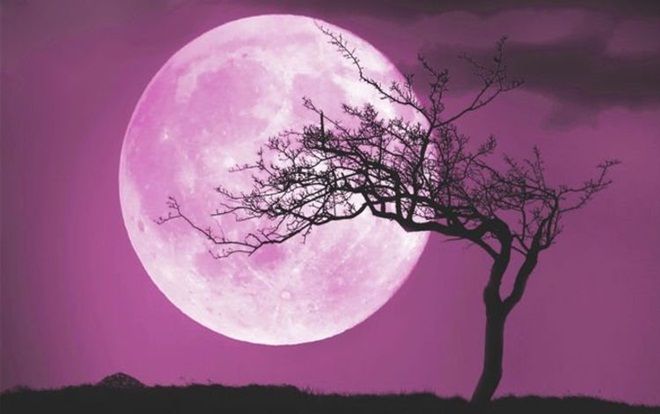 Tối nay Trăng hồng sẽ xuất hiện, nhưng nó có thật đúng như tên gọi?
