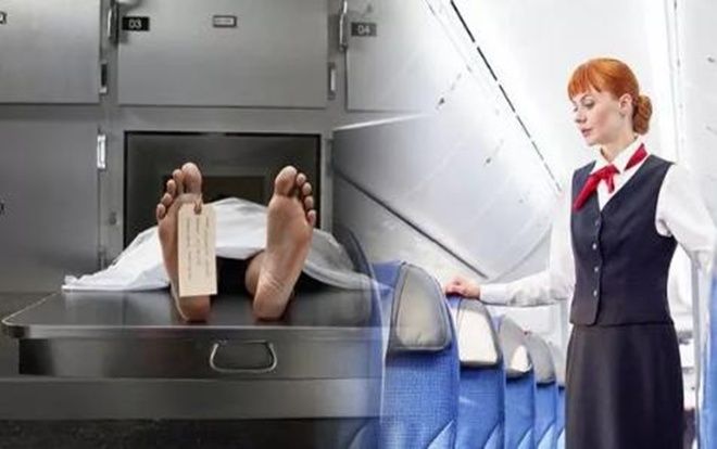 Ám ảnh với nữ tiếp viên hàng không: Người ngồi ghế hành khách là xác chết