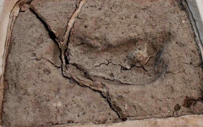 Phát hiện dấu chân người lâu đời nhất ở châu Mỹ