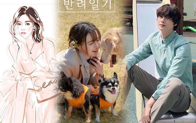 Vợ chồng Goo Hye Sun - Ahn Jae Hyun 'hack tuổi', Song Hye Kyo khoe tranh vẽ tuyệt đẹp