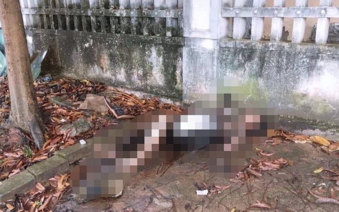 Bàng hoàng phát hiện thi thể người phụ nữ bị cháy đen bên vệ đường