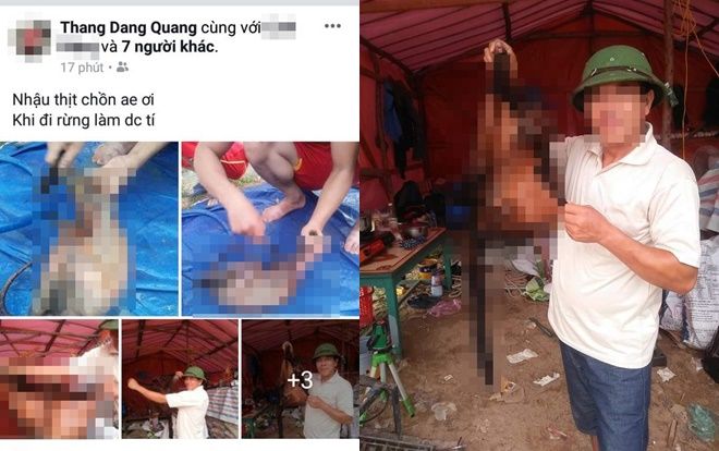 Đã xác định kẻ làm thịt chồn bay quý hiếm rồi đăng ảnh khoe trên facebook