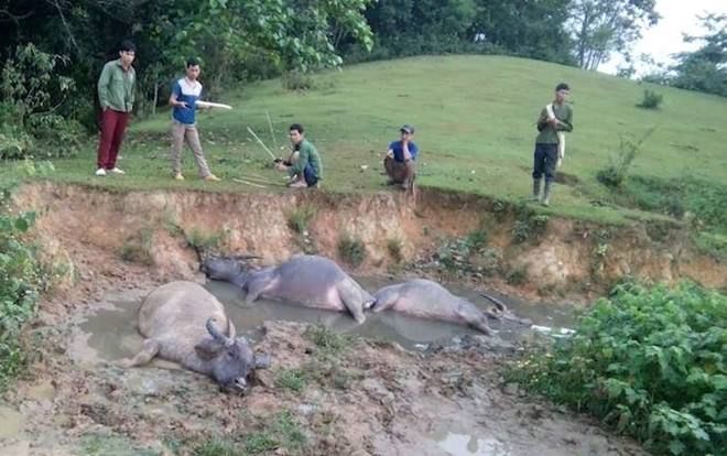 Gió lốc làm hơn 90 nhà dân bị hỏng
