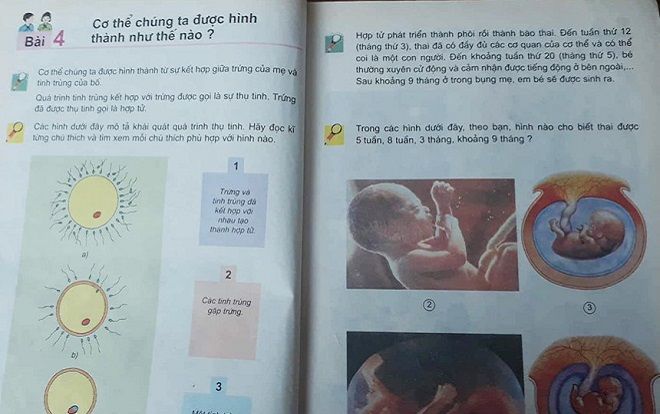 Hàng loạt vụ xâm hại trẻ: Giáo dục giới tính quá muộn, thiếu trực quan