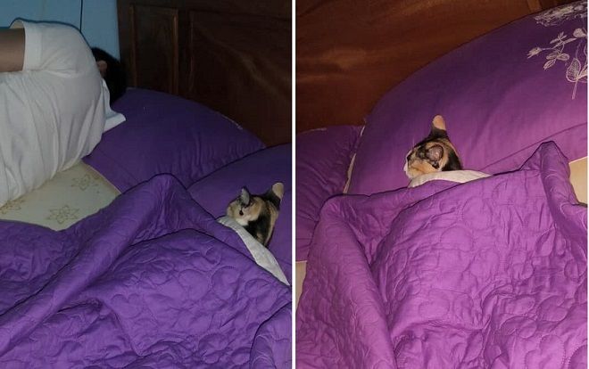 Vợ bất lực nhìn chồng ngủ với 'kẻ thứ ba' nhưng khi bồ nhí lộ diện thì ai cũng phì cười