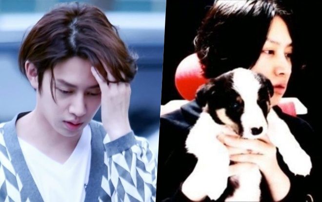 Heechul (Super Junior) đau đơn hay tin chú chó của mình bị chủ mới 'bạo hành' đến liệt nửa người