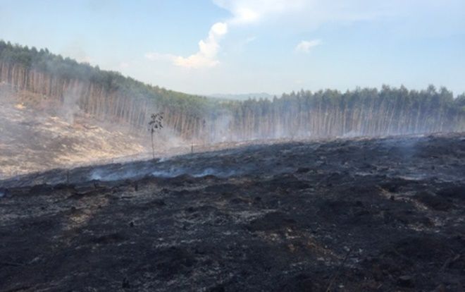 2 vụ cháy rừng liên tiếp trong cùng ngày ở Thừa Thiên - Huế gây thiệt hại hàng trăm triệu đồng