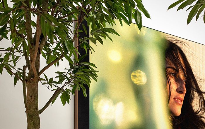 Sướng như người dùng iPhone: Apple thuê hẳn nhiếp ảnh gia nổi tiếng về daỵ chụp hình