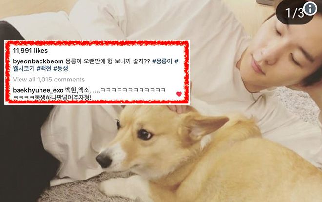 EXO Baekhyun và anh trai tương tác trên Instagram cưng xỉu làm fan đổ đứ đừ