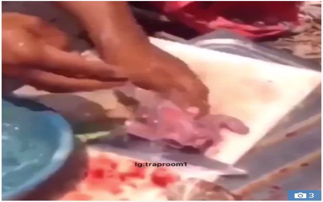 Chú cá đã bị làm thịt bỗng ‘sống lại’ khiến dân tình hú vía