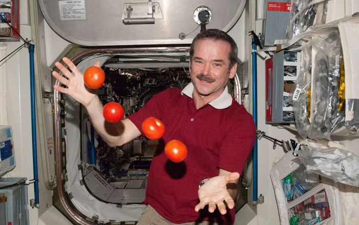 5 loại thực phẩm các phi hành gia không được ăn ở ngoài vũ trụ