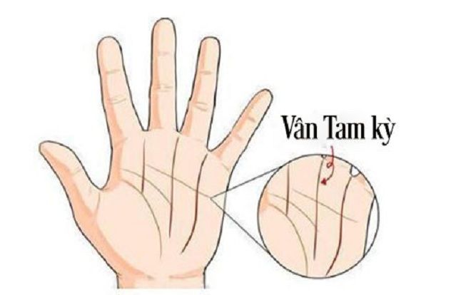 Sở hữu đường chỉ tay hiếm này, không sớm thì muộn cũng giàu 'nứt đố đổ vách'