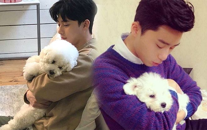 Ai cũng sẽ muốn được ôm như cách Park Seo Joon ôm chú cún Simba