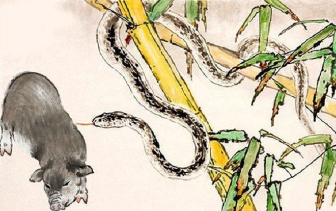 8 cặp con giáp đại xung đại khắc, không nghèo khổ cả đời cũng 'đứt gánh giữa đường'