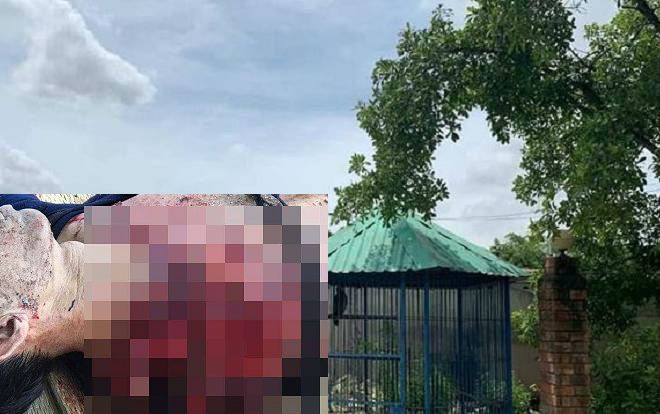 Vụ hổ cắn đứt lìa 2 tay người đàn ông trong khu du lịch: 'Giật mình tôi kéo ra thì con hổ ngoạm luôn cả 2 tay'