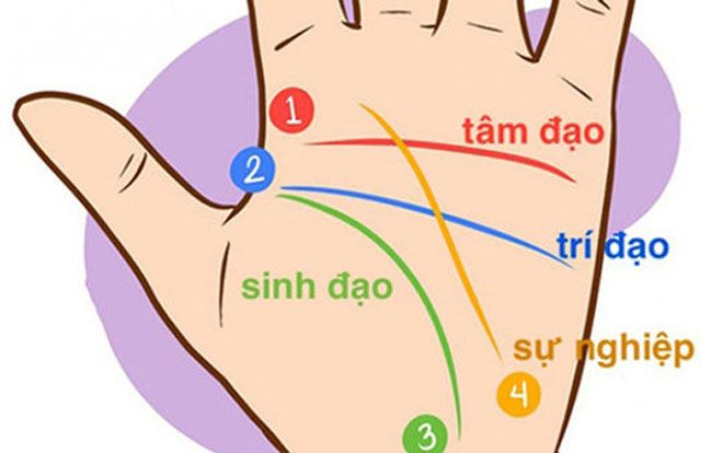 Xem chỉ tay đường công danh, luận ra ngay ai sự nghiệp giàu sang, ai lận đận khốn khó