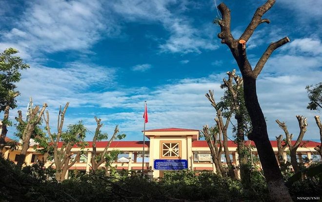 Học sinh THPT chuyên Thủ Khoa Nghĩa tiếc nuối khi những hàng cây cổ thụ gắn bó cùng bao thế hệ bị tỉa 'trắng' cành