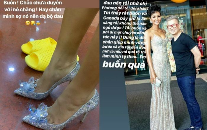 Tậu đôi giày 120 triệu trong mơ của hàng vạn cô gái nhưng H'Hen Niê không thể đi được lâu vì chân sưng tấy