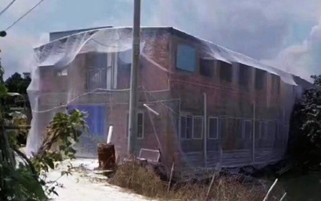 Thấy muỗi bay vào nhà quá nhiều, giả chủ thực hiện kế sạch 'cực mặn' khiến nhiều người choáng váng