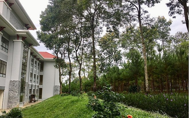 Lạc vào khuôn viên xanh mướt của Đại học Tôn Đức Thắng cơ sở Bảo Lộc, quanh năm hoa đua nở khoe sắc