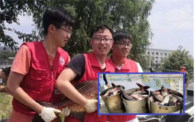 Sinh viên tốt nghiệp, nhà trường tổ chức đánh bắt hơn 750kg cá để làm tiệc chiêu đãi