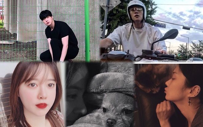 Ghen tị với cuộc sống của Goo Hye Sun - Ahn Jae Hyun, Jang Nara - Song Hye Kyo và Han Ji Min đọ sắc trên MXH