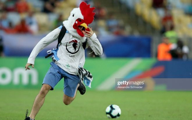 'Người gà' làm loạn trận đấu ở Copa America