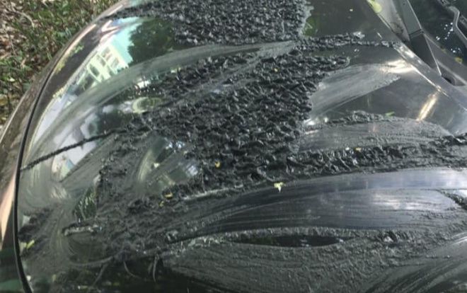 Nghi vấn không gửi xe ở bãi tự phát, hai gia đình bị đổ axit lên ôtô để 'dằn mặt’