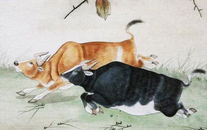 3 con giáp nữ khổ vì tình, sau khi kết hôn phải lo toan mọi việc như 'mẹ người ta'