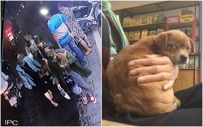 Thực hư câu chuyện chủ quán cafe Đà Lạt kêu gọi tìm chó cưng bị khách du lịch 'cầm nhầm' gây xôn xao