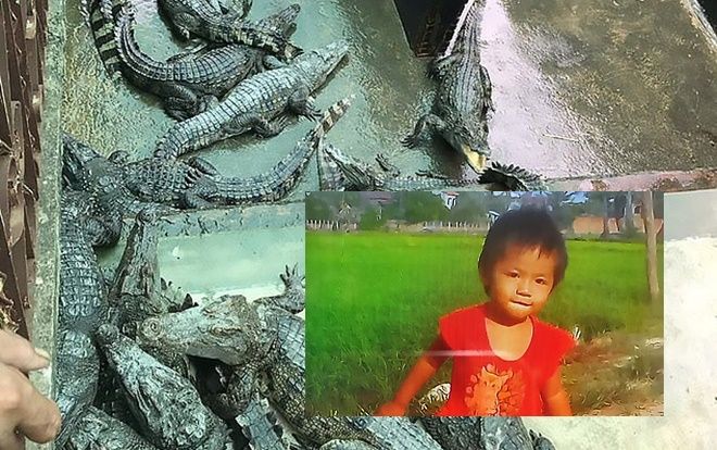 Bé gái hai tuổi bị cá sấu nuôi trong nhà cắn chết thương tâm