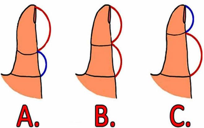 So sánh độ dài 2 đốt ngón tay cái biết ngay tính cách, đường tình duyên lận đận hay suôn sẻ