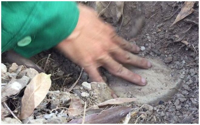 Vụ 300 xác thai nhi trong nhà máy rác Cà Mau: Mẫu giám định trong hũ sành là xương người