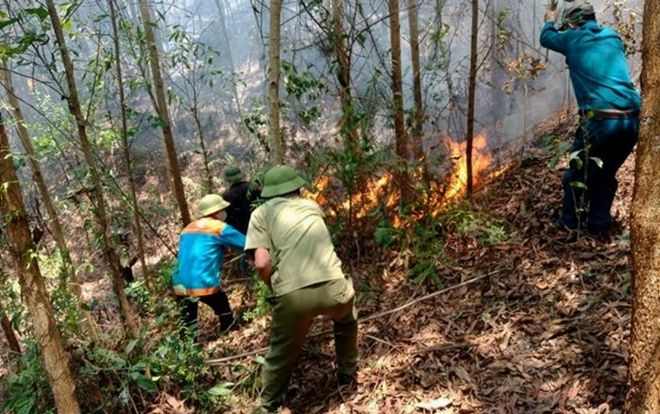 Hà Tĩnh: Hàng trăm người được huy động để dập lửa tại núi Nầm