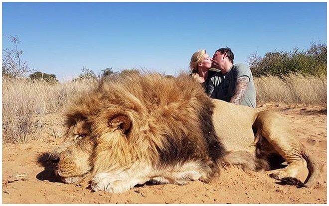 Cặp đôi hôn nhau cạnh xác sư tử quý vừa săn gây phẫn nộ