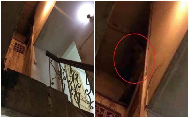 Thực hư câu chuyện sau bức hình về 'hồn ma nữ' ám ảnh khu nhà trọ